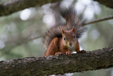 Similar image 21969313