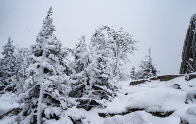 Similar image 21969315