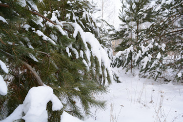 Similar image 21970834