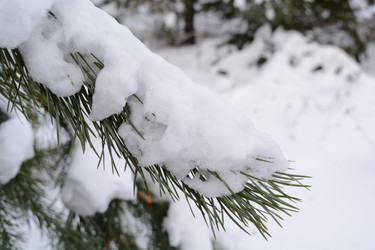 Similar image 21970839