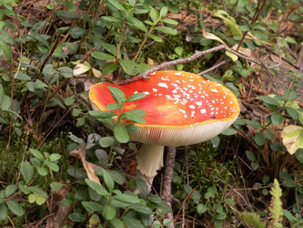 Similar image 21970874