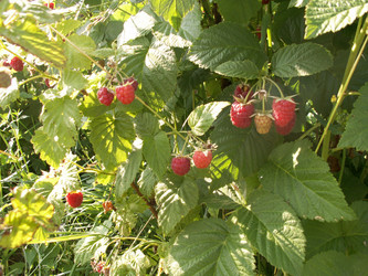 Similar image 21970875