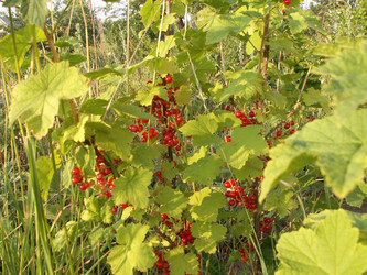 Similar image 21970877