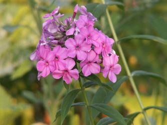 Similar image 21970878