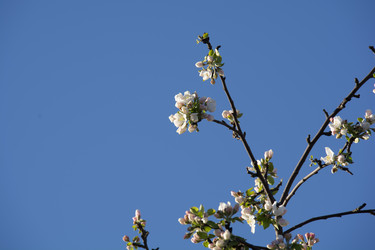 Similar image 21970880