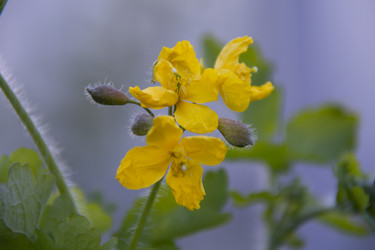 Similar image 21970882