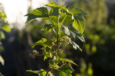 Similar image 21970885