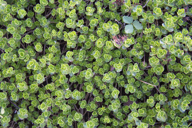 Similar image 21970887