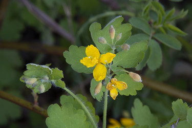 Similar image 21970888