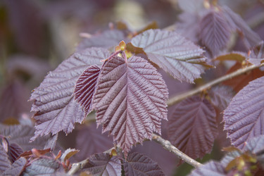 Similar image 21970892