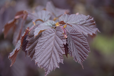 Similar image 21970893