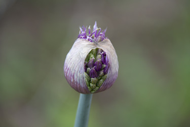 Similar image 21970894