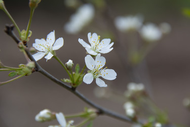 Similar image 21970895