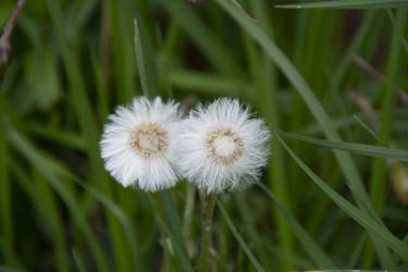 Similar image 21970896