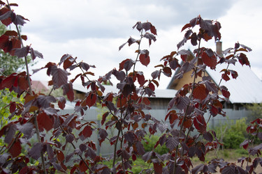 Similar image 21970897