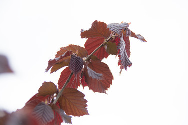 Similar image 21970898