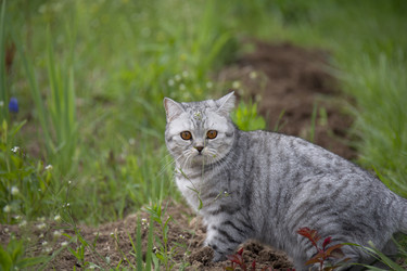 Similar image 21970900