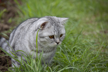 Similar image 21970901