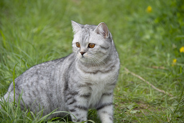 Similar image 21970902