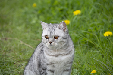 Similar image 21970903