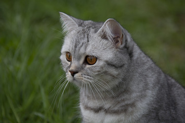 Similar image 21970904