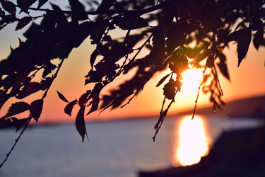 Similar image 21969319