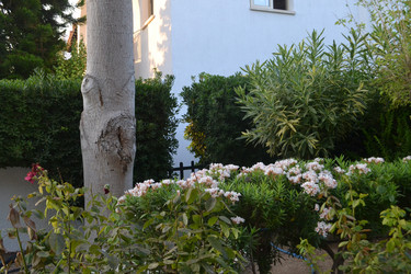 Similar image 21969454