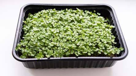 Similar image 21969323