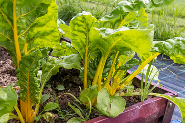 Similar image 21969324