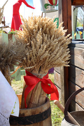 Similar image 21969464