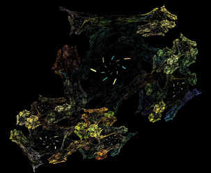 Similar image 21972596