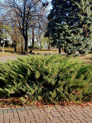 Similar image 21970194