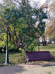 Similar image 21970195