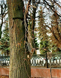 Similar image 21970196