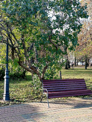 Similar image 21970197