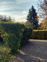 Similar image 21970199