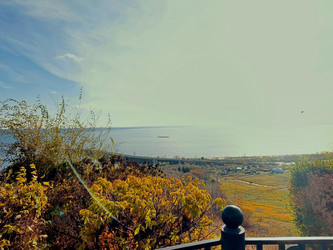 Similar image 21970202