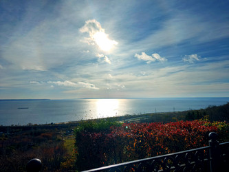 Similar image 21970203