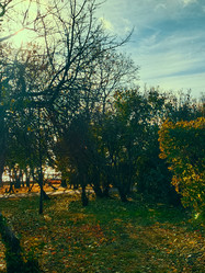 Similar image 21970206