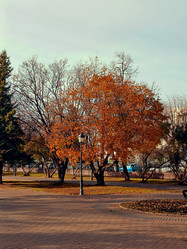 Similar image 21970214