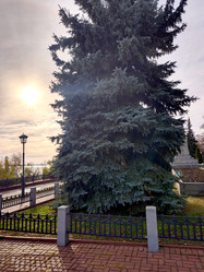 Similar image 21970215