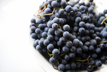 Similar image 21969589