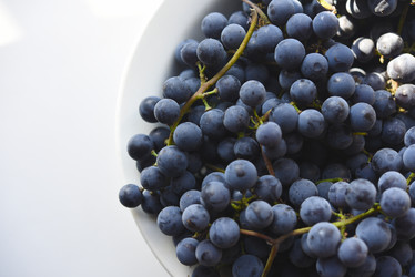 Similar image 21969592