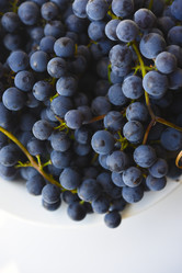 Similar image 21969593