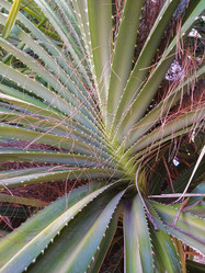 Similar image 21969475