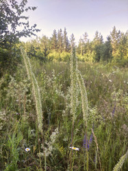 Similar image 21969476