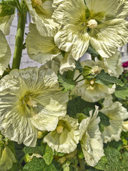 Similar image 21969477