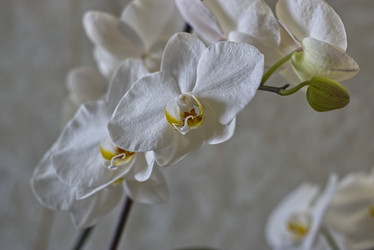 Similar image 21969479