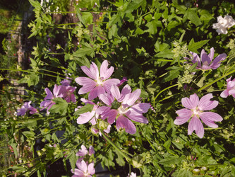 Similar image 21969480