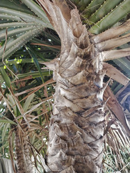 Similar image 21969481